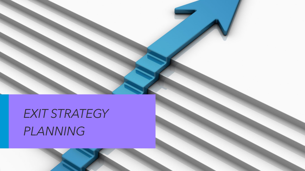 Getting Out Gracefully: Exit Strategy Planning - Christine Abela ...