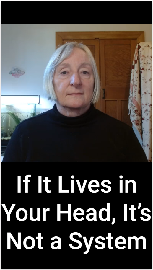 If It Lives in Your Head, It’s Not a System